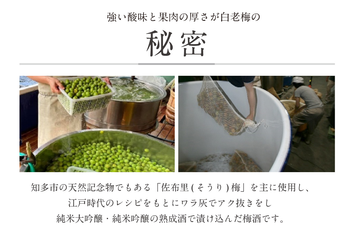 【お歳暮 内熨斗対応可能】知多の梅酒 白老梅 紅白セット