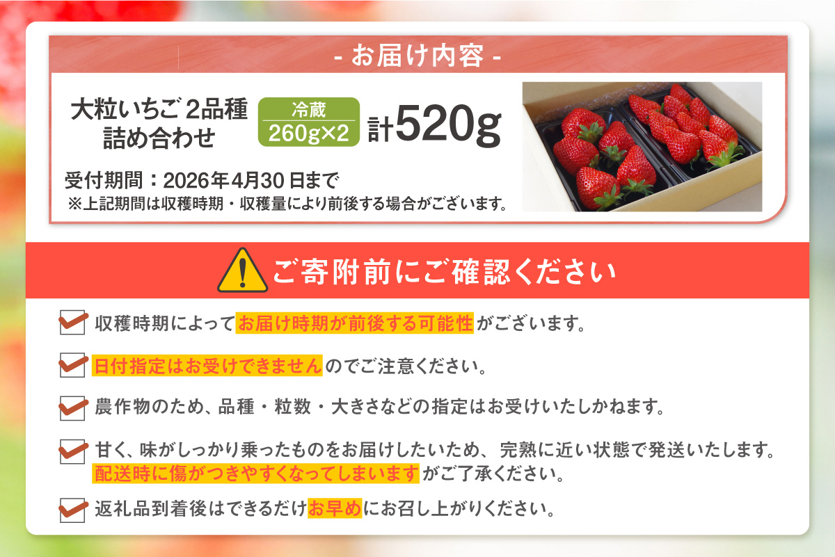 【先行予約】【2月頃発送予定】大粒いちご2品種詰め合わせ 260g×2パック いちご 苺 イチゴ ストロベリー 詰め合わせ 食べ比べ おいCベリー 紅ほっぺ 章姫 食べ比べ 美味しい 甘い 大粒 大きい 果物 フルーツ 数量限定 farmいちごろ 愛知県 常滑 常滑市