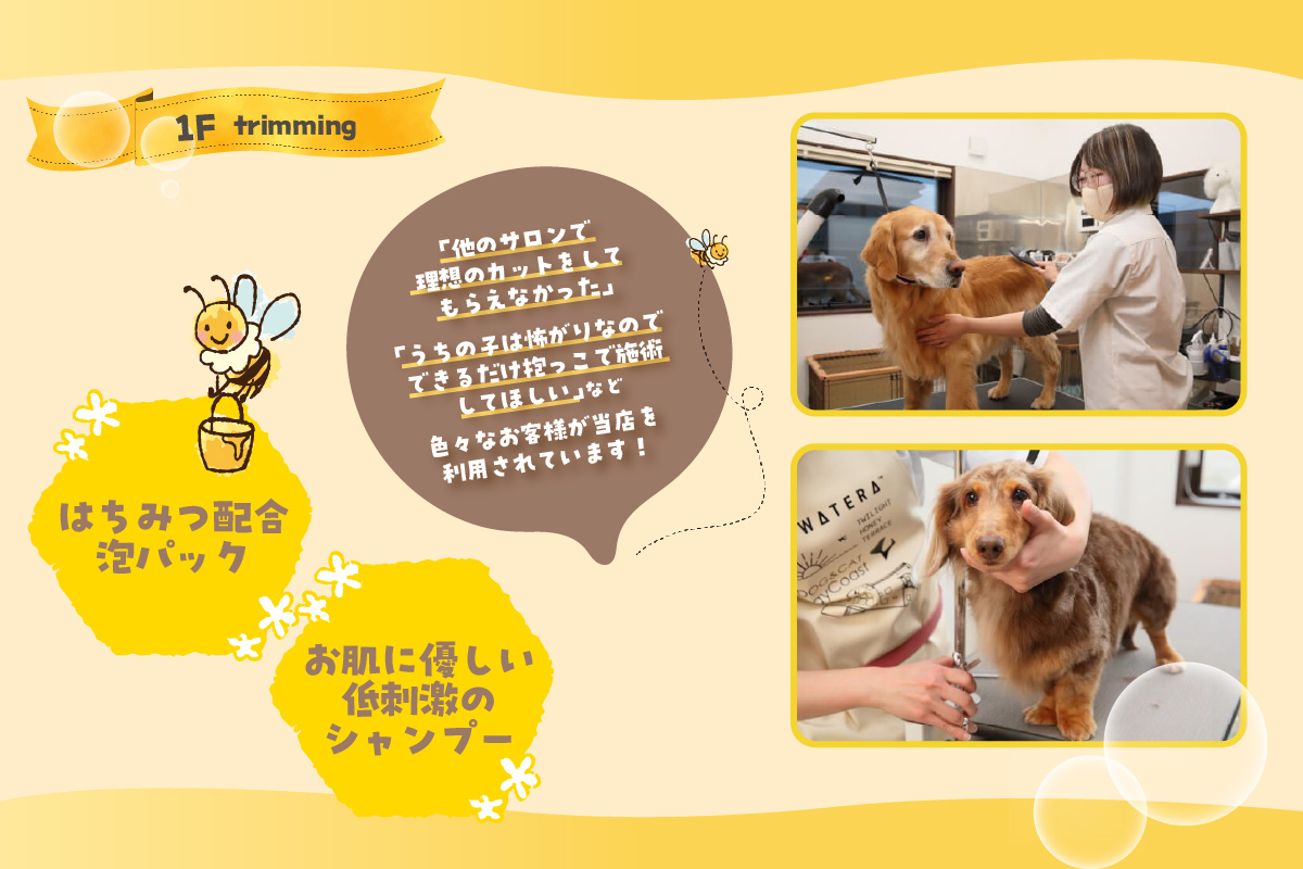 【海を一望できるドッグラン 利用チケット】トワテラメンバーズ＋年パス 2頭