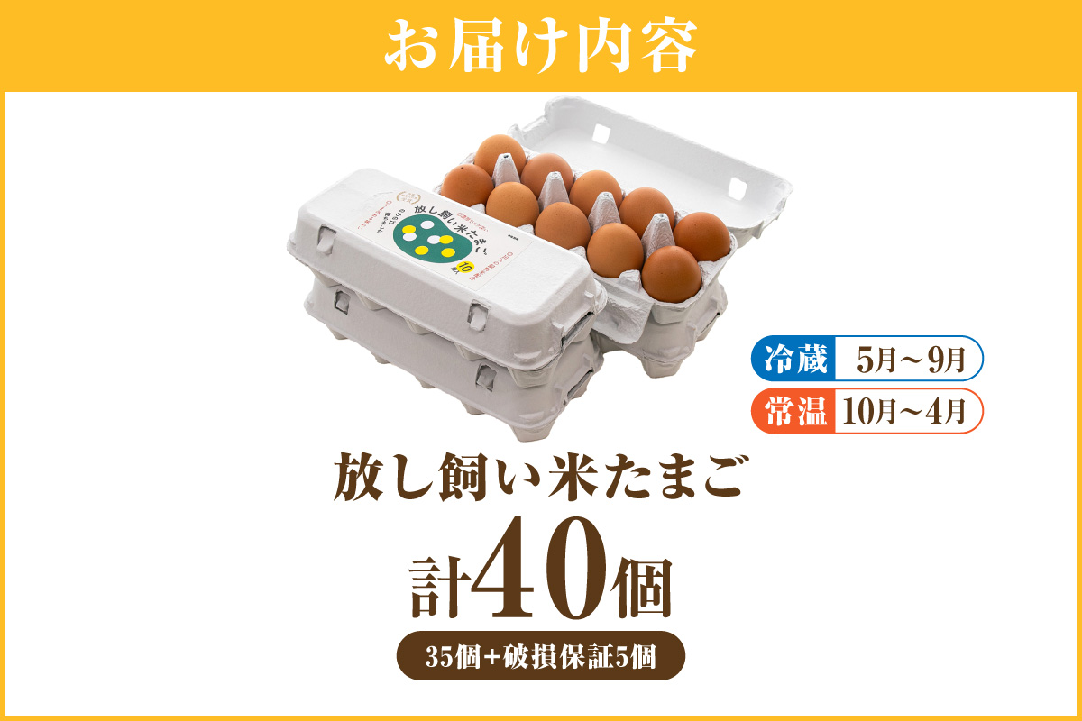 放し飼い米たまご35個+5個保証（計40個）