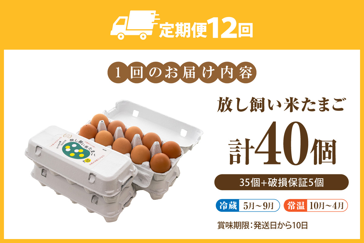 【12か月定期便】放し飼い米たまご35個+5個保証（計40個）
