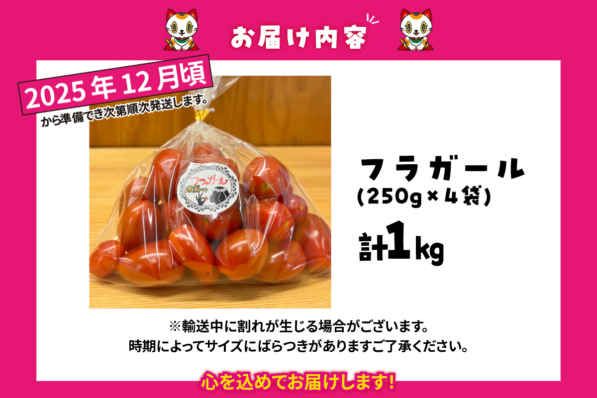 【先行予約】【2025年12月頃から順次発送】フルーツトマト　フラガール1kg（へたなし）　よこた農園　フラガール プチトマト 野菜 トマト 新鮮野菜 太陽の恵み トマト料理 愛知県産 フルーツとまと 甘いトマト お取り寄せ グルメ 常滑市 へたなし