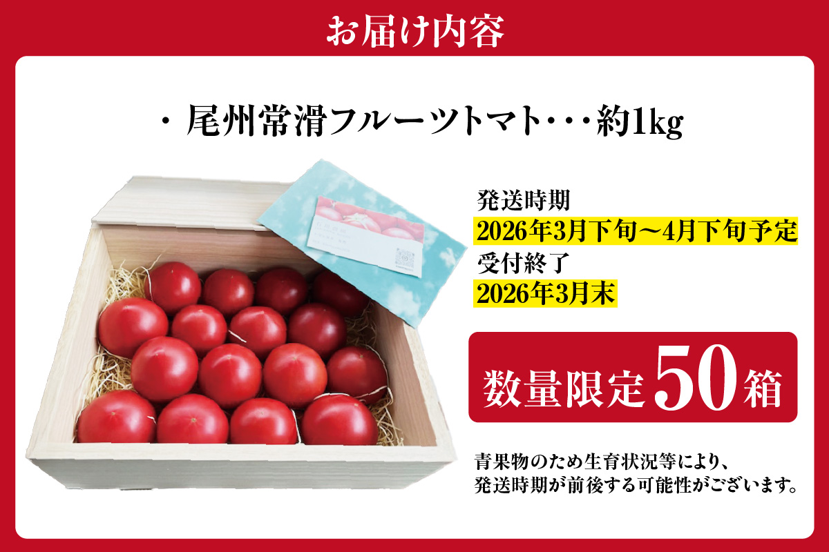 【先行予約】【2026年3月下旬から順次発送】尾州常滑フルーツトマト麗妃 トマト フルーツトマト 麗妃 れいき リコピン 新鮮野菜 太陽の恵み 濃厚 完熟 トマト料理 トマト鍋 愛知県産 国産 お取り寄せ グルメ 愛知県 常滑
