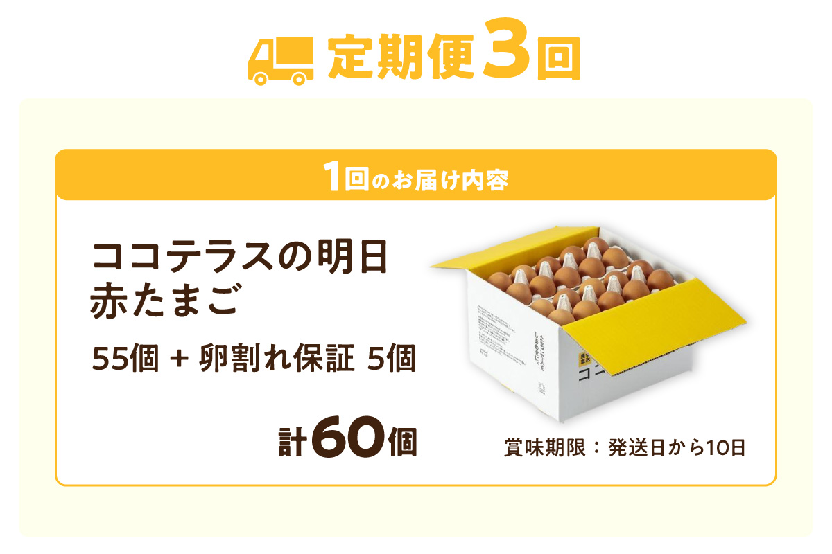 【3ヵ月定期便】ココテラスの明日（赤たまご）55個 + 5個保証（計60個）【JGAP認証】