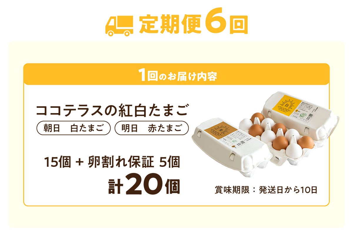 【6ヵ月定期便】ココテラスの紅白たまご　15個 + 5個保証（計20個）【JGAP認証】