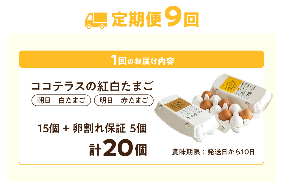 【9ヵ月定期便】ココテラスの紅白たまご　15個 + 5個保証（計20個）【JGAP認証】
