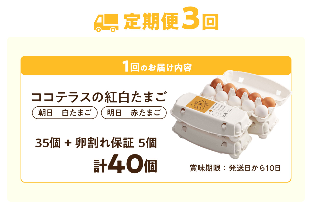 【3ヵ月定期便】ココテラスの紅白たまご　35個 + 5個保証（計40個）【JGAP認証】