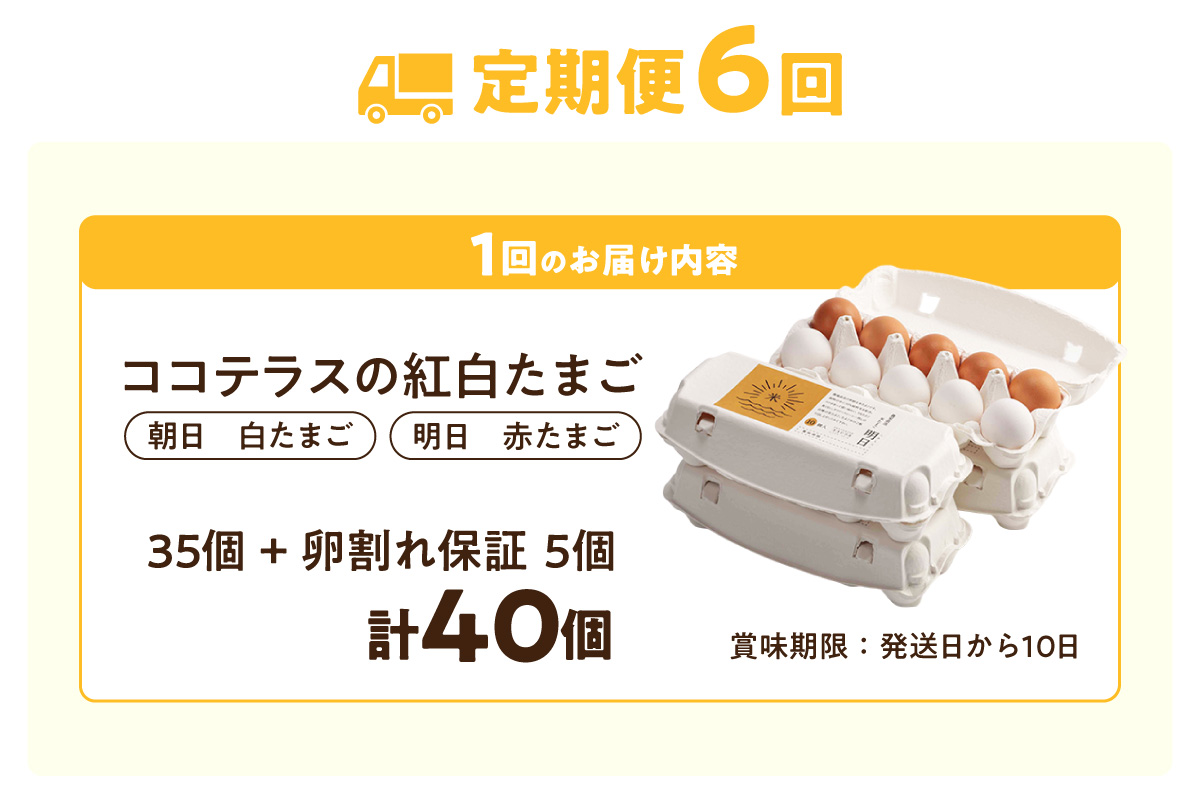 【6ヵ月定期便】ココテラスの紅白たまご　35個 + 5個保証（計40個）【JGAP認証】