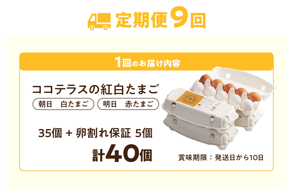 【9ヵ月定期便】ココテラスの紅白たまご　35個 + 5個保証（計40個）【JGAP認証】