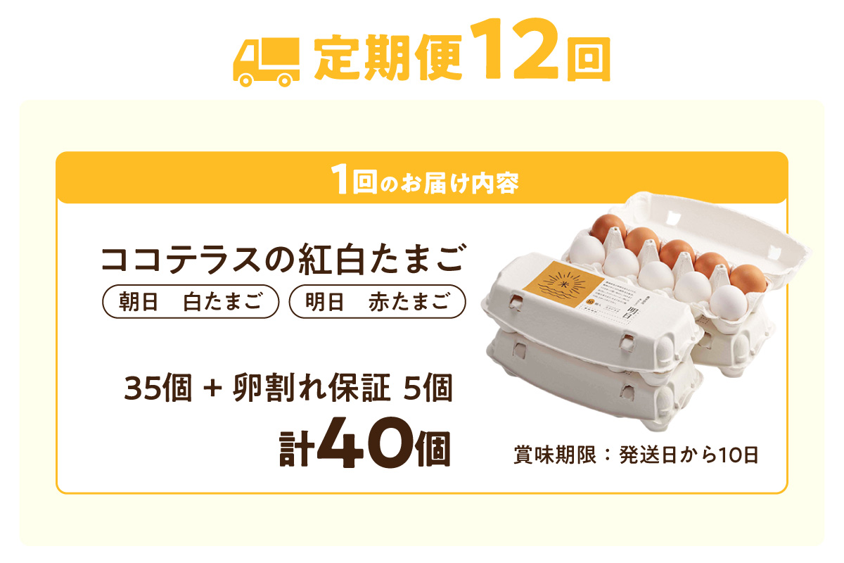 【12ヵ月定期便】ココテラスの紅白たまご　35個 + 5個保証（計40個）【JGAP認証】