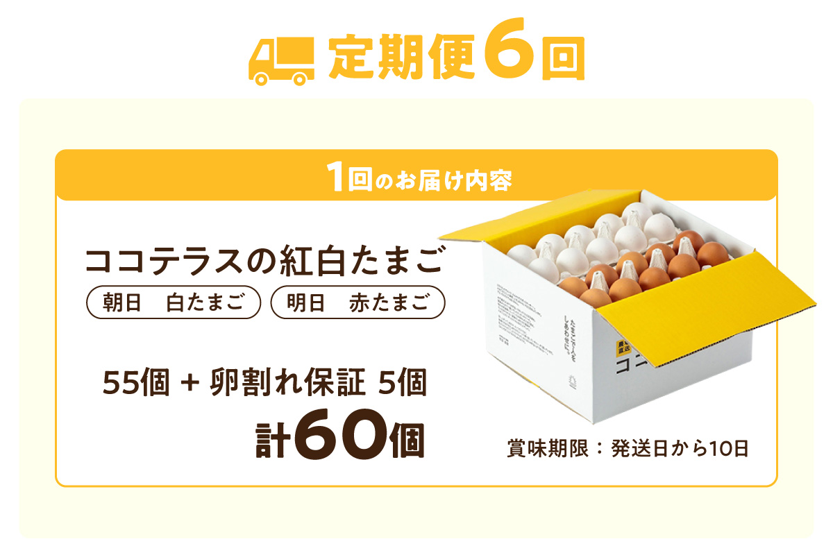 【6ヵ月定期便】ココテラスの紅白たまご　55個 + 5個保証（計60個）【JGAP認証】