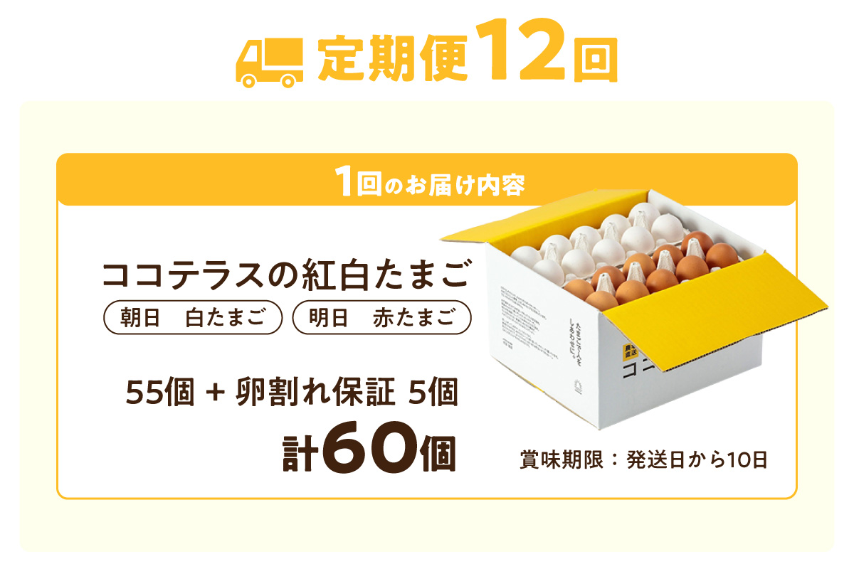 【12ヵ月定期便】ココテラスの紅白たまご　55個 + 5個保証（計60個）【JGAP認証】