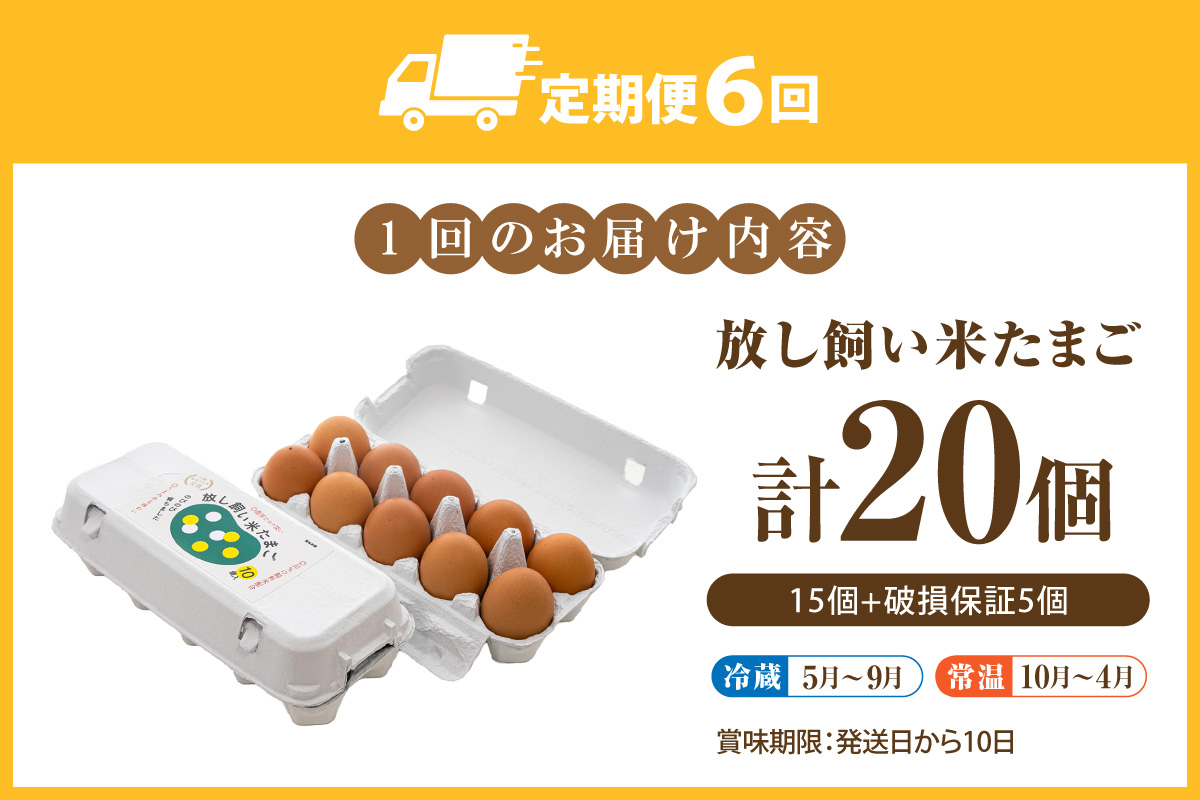 【６か月定期便】放し飼い米たまご15個+5個保証（計20個）