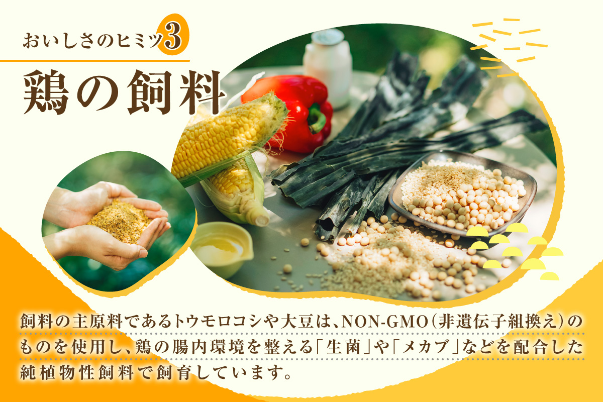 【12か月定期便】放し飼い米たまご35個+5個保証（計40個）