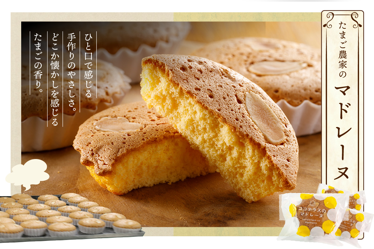 放し飼い米たまごのギフトセットB｜放し飼い米たまご マドレーヌ クッキー ましかくカステラ 醤油 たまご専用醤油 料理 タマゴ 卵 鶏卵 焼き菓子 洋菓子 グルメ スイーツ お取り寄せ 詰め合わせ ギフト 贈り物 プレゼント 愛知県 常滑市