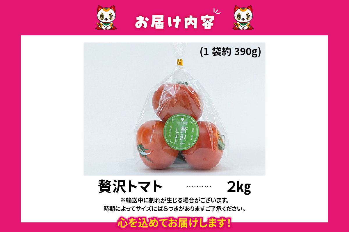 フルーツトマト　贅沢トマト2kg│よこた農園　大玉 贅沢トマト 野菜 トマト 新鮮野菜 太陽の恵み 大玉トマトトマト料理 愛知県産 フルーツとまと 甘いトマト お取り寄せ グルメ 常滑市