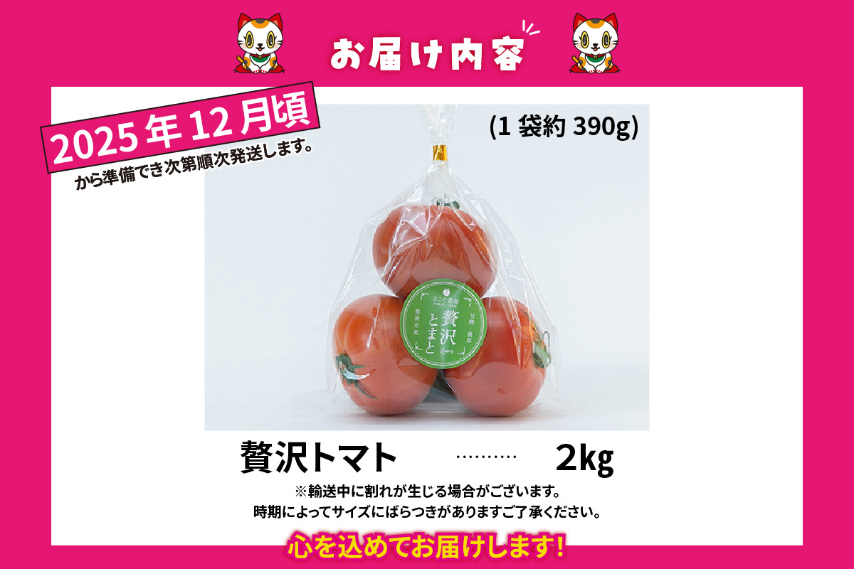 【先行予約】【2025年12月頃から順次発送】フルーツトマト　贅沢トマト2kg　よこた農園　大玉 贅沢トマト 野菜 トマト 新鮮野菜 太陽の恵み 大玉トマトトマト料理 愛知県産 フルーツとまと 甘いトマト お取り寄せ グルメ 常滑市