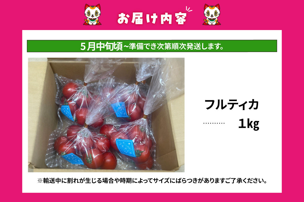 【先行予約】【5月中旬以降発送】フルーツトマト　中玉フルティカ1kg│よこた農園 フルティカ 野菜 トマト 新鮮野菜 太陽の恵み 中玉トマト トマト料理 愛知県産 フルーツとまと 甘いトマト お取り寄せ グルメ 常滑市