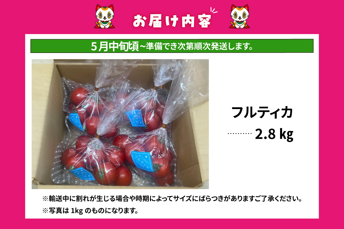 【先行予約】【5月中旬以降発送】フルーツトマト　中玉フルティカ2.8kg│よこた農園 フルティカ 野菜 トマト 新鮮野菜 太陽の恵み 中玉トマト トマト料理 愛知県産 フルーツとまと 甘いトマト お取り寄せ グルメ 常滑市