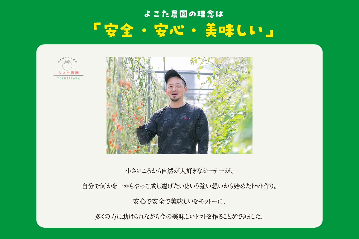 フルーツトマト　フラガール1.4kg（へたなし）│よこた農園 フラガール プチトマト 野菜 トマト 新鮮野菜 太陽の恵み トマト料理 愛知県産 フルーツとまと 甘いトマト お取り寄せ グルメ 常滑市 へたなし