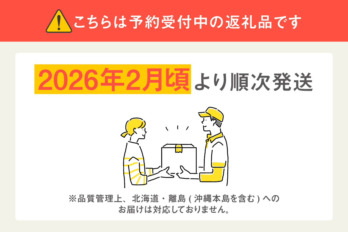 【先行予約】【2月頃発送予定】大粒いちご2品種詰め合わせ 260g×2パック いちご 苺 イチゴ ストロベリー 詰め合わせ 食べ比べ おいCベリー 紅ほっぺ 章姫 食べ比べ 美味しい 甘い 大粒 大きい 果物 フルーツ 数量限定 farmいちごろ 愛知県 常滑 常滑市