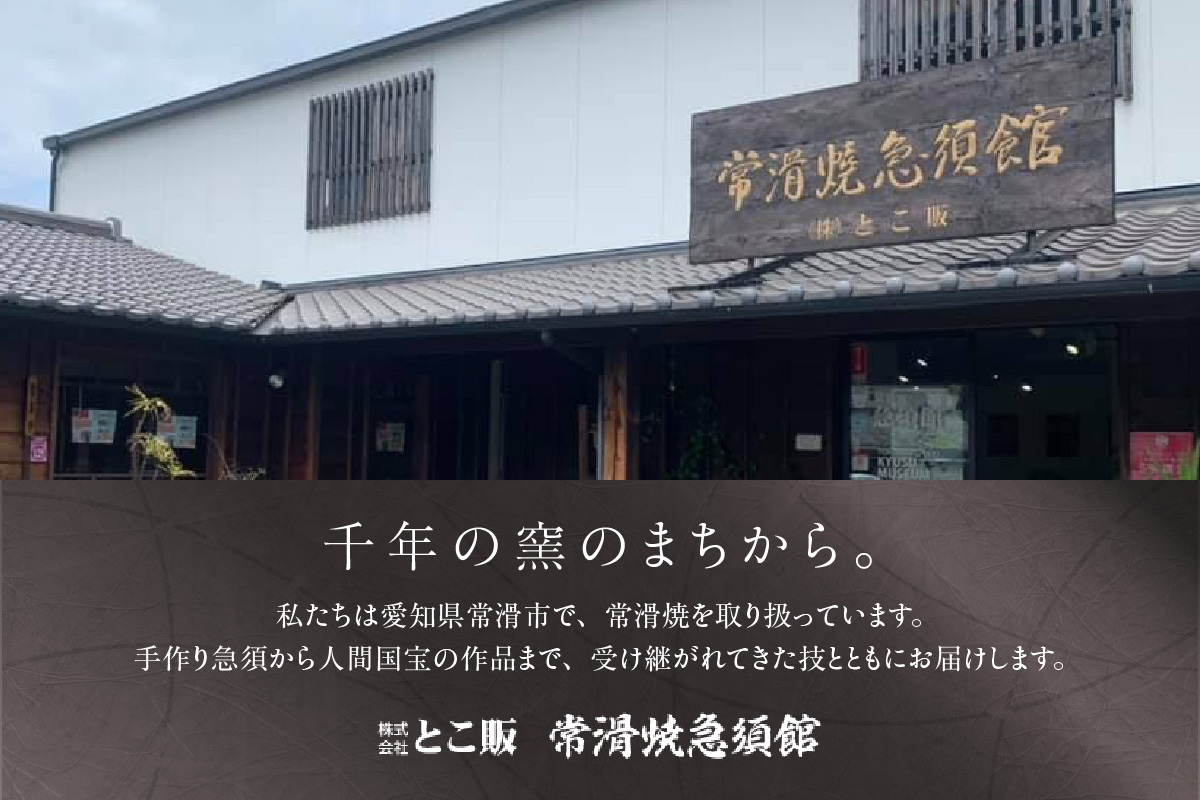 常滑焼　盛正窯　伊羅保急須　セラメッシュ（陶製茶こし）| 常滑焼 急須 シンプルデザイン おしゃれ 焼き物 特産品 贈り物 プレゼント とこ販 茶器 和食器 陶器 陶磁器 ティーポット キッチン用品 キッチン雑貨 日本製 食器 紅茶 日本茶 愛知県 常滑市