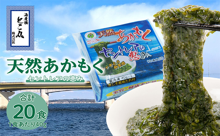 天然あかもくセントレアの恵み【2連パック×10】