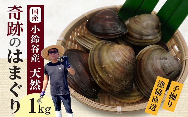 【奇跡のはまぐり】小鈴谷産天然はまぐり1kg│はまぐり 海鮮 魚 貝 漁協直送 手掘り 小鈴谷産 天然はまぐり ハマグリ 蛤 縁起物 酒蒸し 蒸し 焼き 愛知県 常滑市