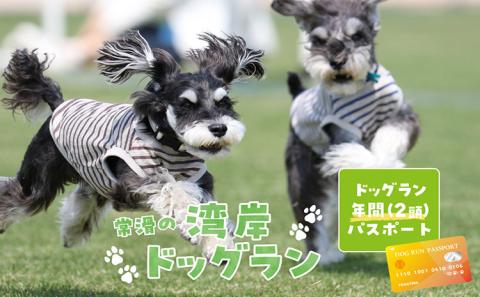 【海を一望できるドッグラン 利用チケット】ドッグラン年パス 2頭