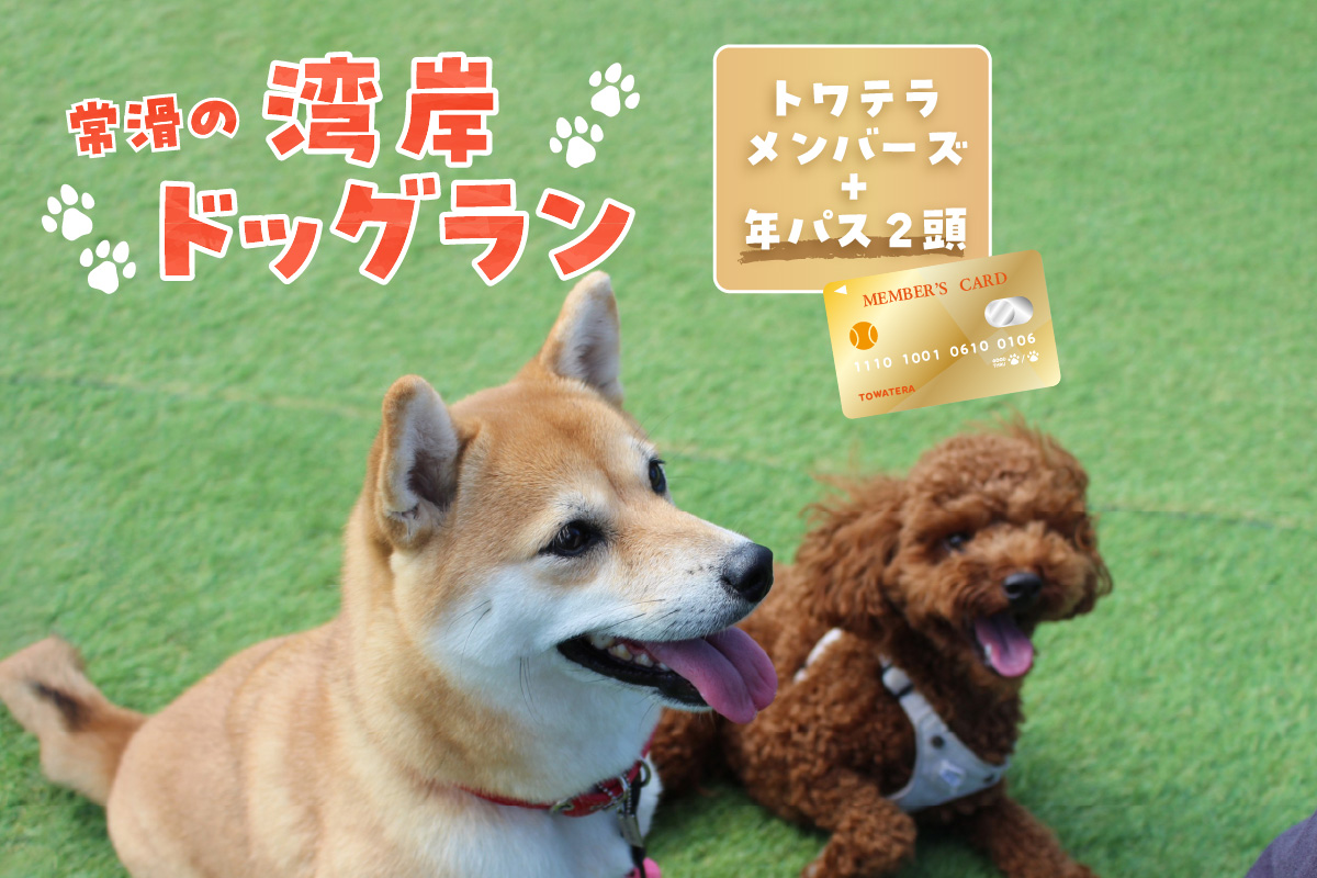 【海を一望できるドッグラン 利用チケット】トワテラメンバーズ＋年パス 2頭