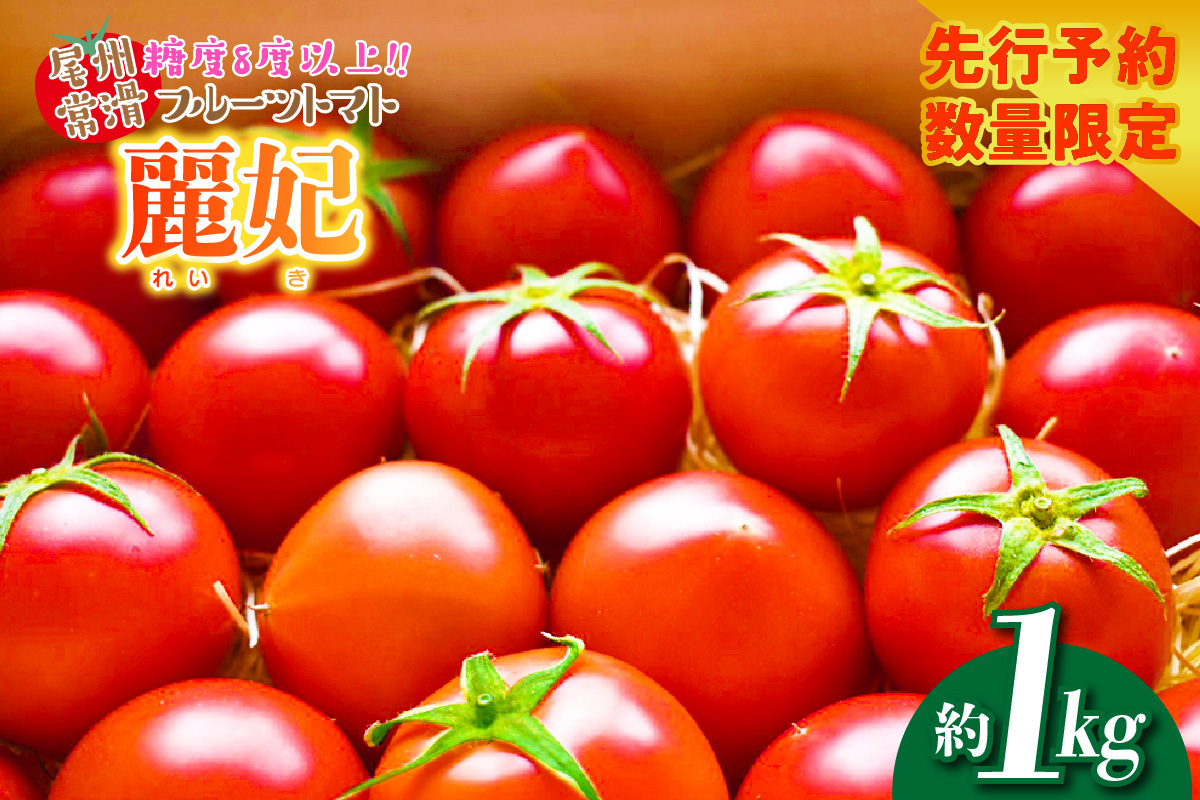 【先行予約】【2026年3月下旬から順次発送】尾州常滑フルーツトマト麗妃 トマト フルーツトマト 麗妃 れいき リコピン 新鮮野菜 太陽の恵み 濃厚 完熟 トマト料理 トマト鍋 愛知県産 国産 お取り寄せ グルメ 愛知県 常滑