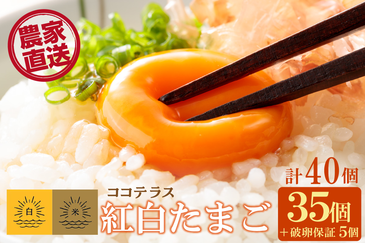 ココテラスの紅白たまご　35個 + 5個保証（計40個）【JGAP認証】