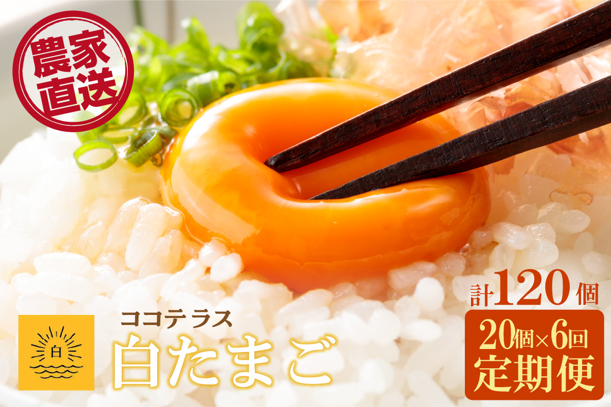 【6ヵ月定期便】ココテラスの朝日（白たまご）15個 + 5個保証（計20個）【JGAP認証】