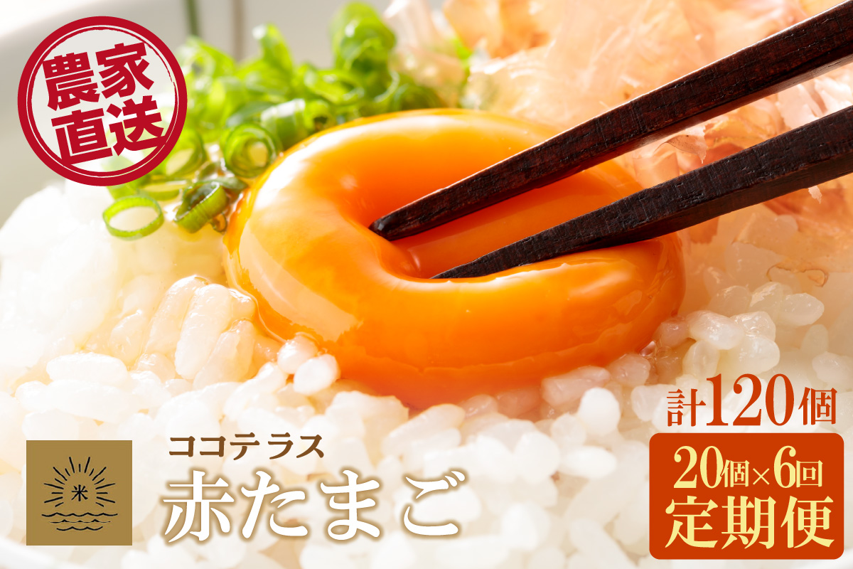 【6ヵ月定期便】ココテラスの明日（赤たまご）15個 + 5個保証（計20個）【JGAP認証】