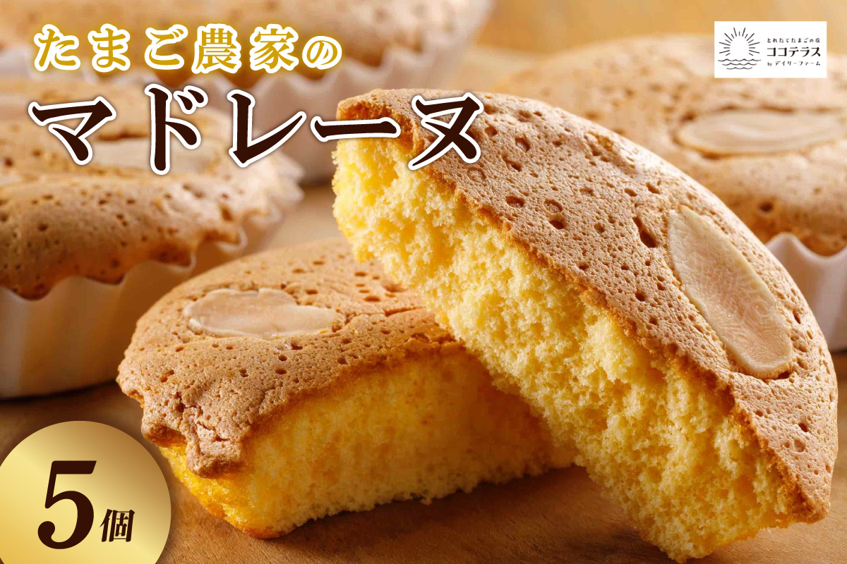 たまご農家 マドレーヌ（5個）ふるさと納税 ふんわり食感 マドレーヌ ココテラス 洋菓子 デイリーファーム デザート スイーツ 人気 たまごとバター こだわりスイーツ ティータイム アフターヌーンティー ギフト 人気 焼き菓子 手土産