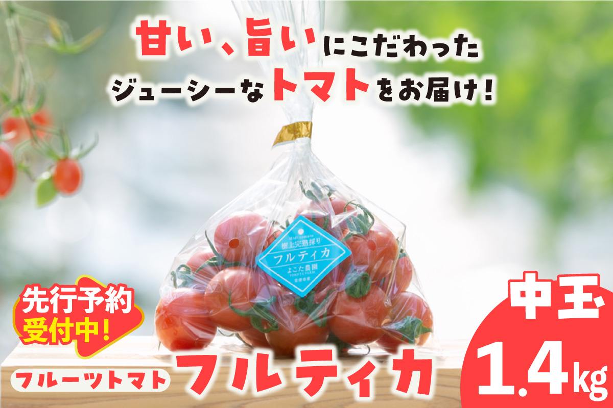 【先行予約】【5月中旬以降発送】フルーツトマト　中玉フルティカ1.4kg│よこた農園 フルティカ 野菜 トマト 新鮮野菜 太陽の恵み 中玉トマト トマト料理 愛知県産 フルーツとまと 甘いトマト お取り寄せ グルメ 常滑市