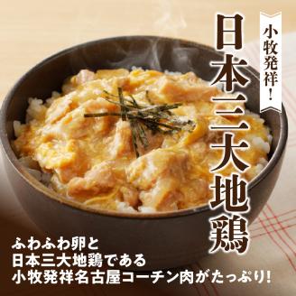 名古屋コーチン 親子丼 レトルト 200g × 4箱 ふわふわ卵 日本三大地鶏 地鶏 小牧発祥名古屋コーチン肉 丼もの 惣菜 弁当 おかず 愛知県 小牧市 デリカ食品 お取り寄せ お取り寄せグルメ 送料無料