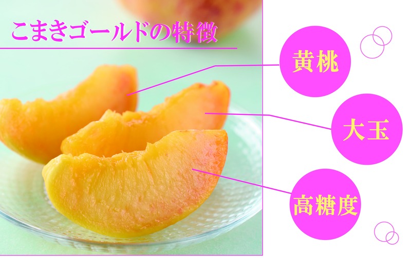 こまきゴールド（期間限定・数量限定）