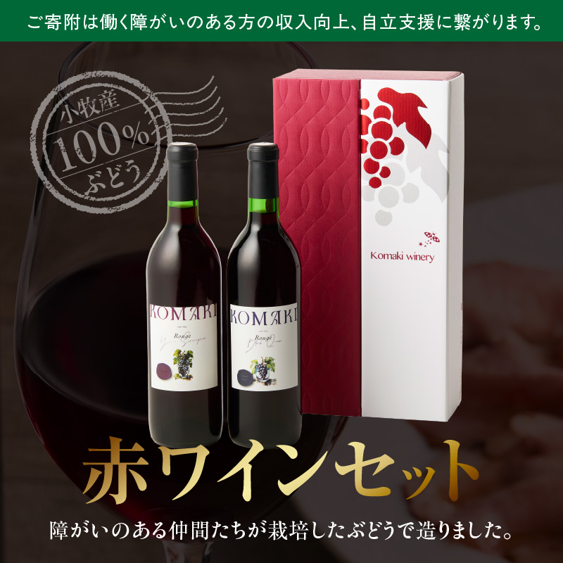 小牧ワイナリー 赤ワイン２本飲み比べセット（小牧産ぶどう100％使用）