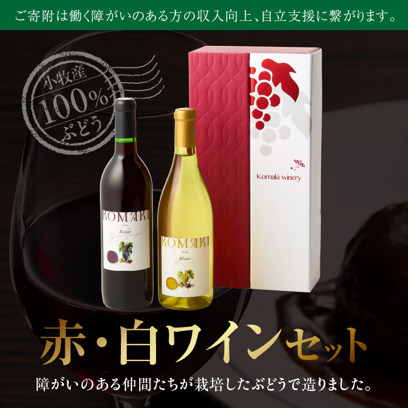 小牧ワイナリー 赤・白ワイン２本セット（小牧産ぶどう100％使用）