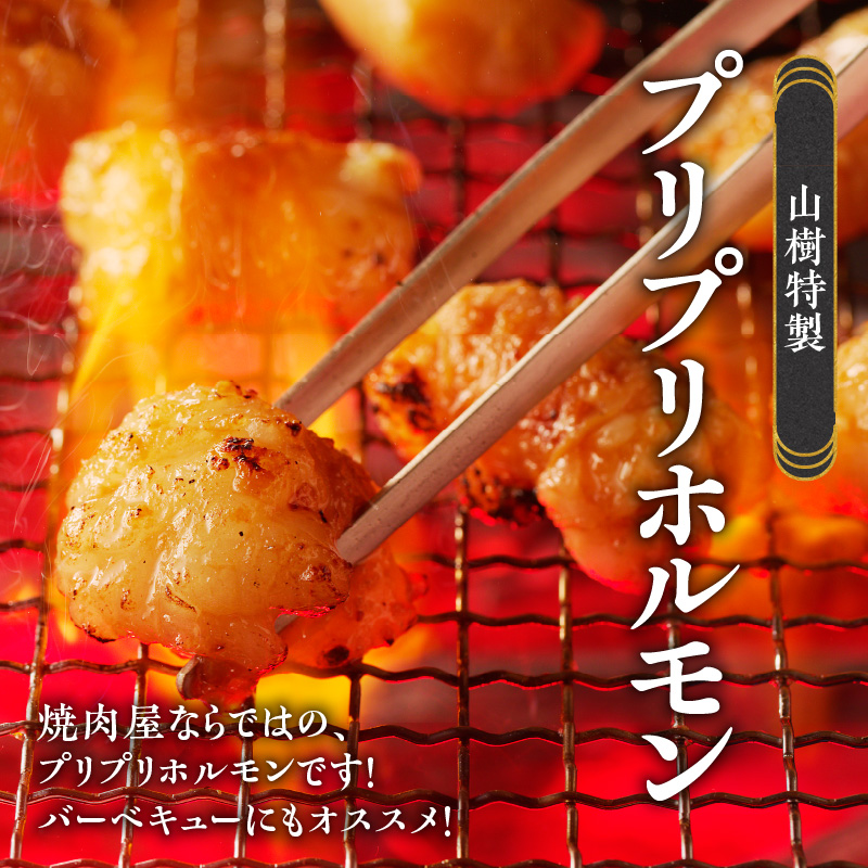 山樹の国産牛白ころホルモン焼き（丸腸）味付　900g