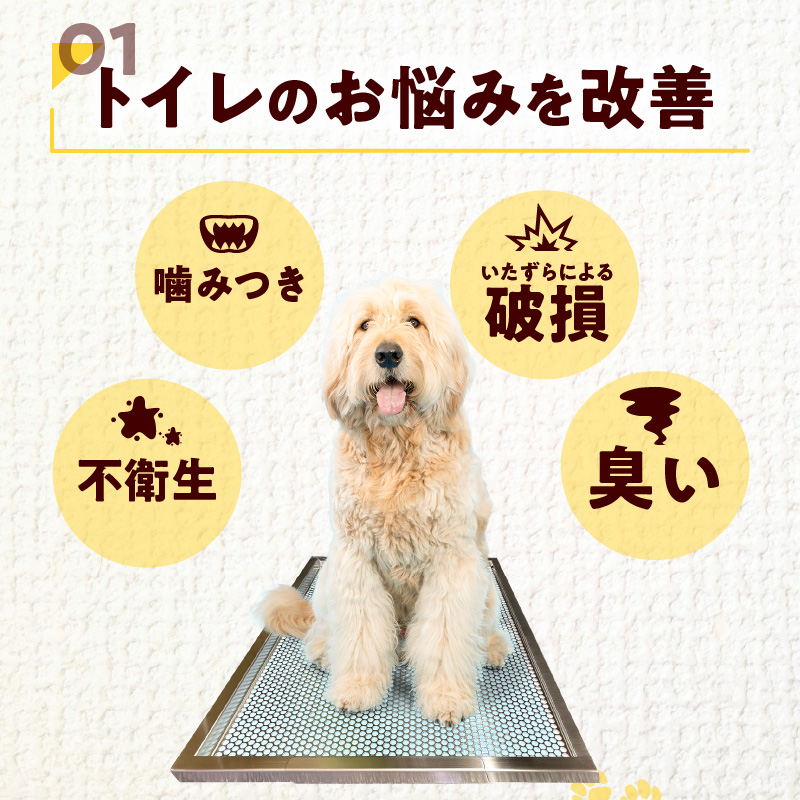 犬用ステンレス製トイレトレイ（段付きタイプ・スーパーワイドサイズ）