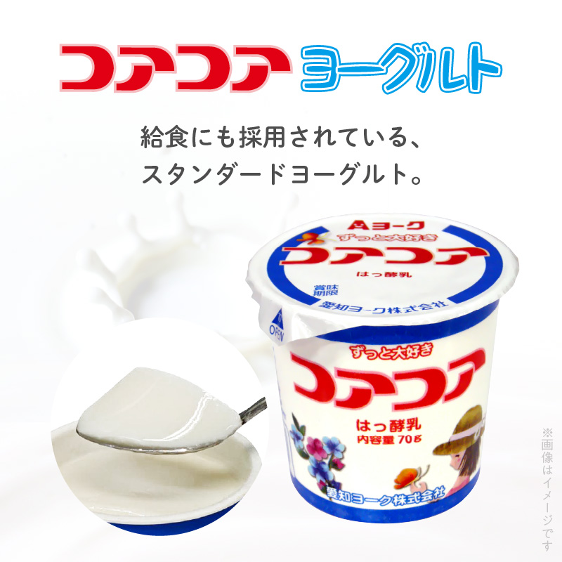 【3ヶ月定期便】愛知ヨーク　コアコアヨーグルト＆国産ゼリーセット　16個入