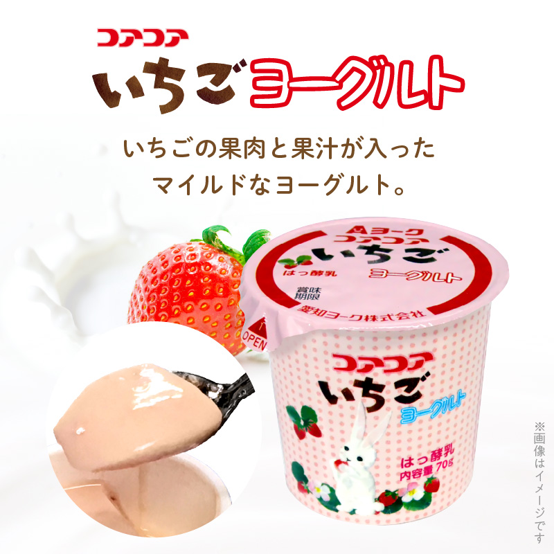 愛知ヨーク　コアコアいちご・コアコアりんご　20個入