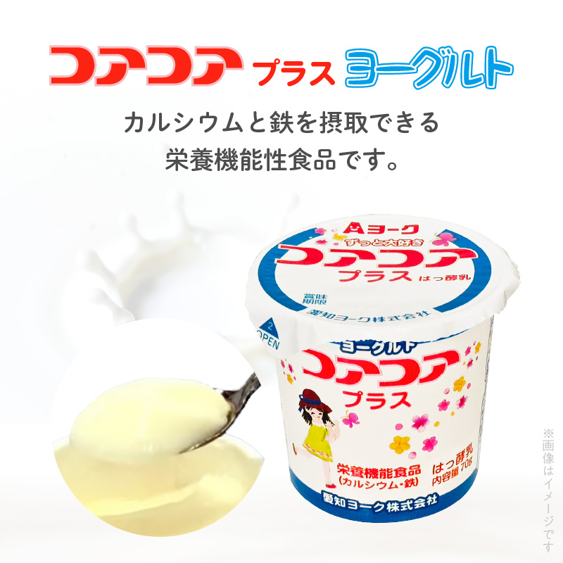 【3ヶ月定期便】愛知ヨーク　コアコアプラスヨーグルト　20個入