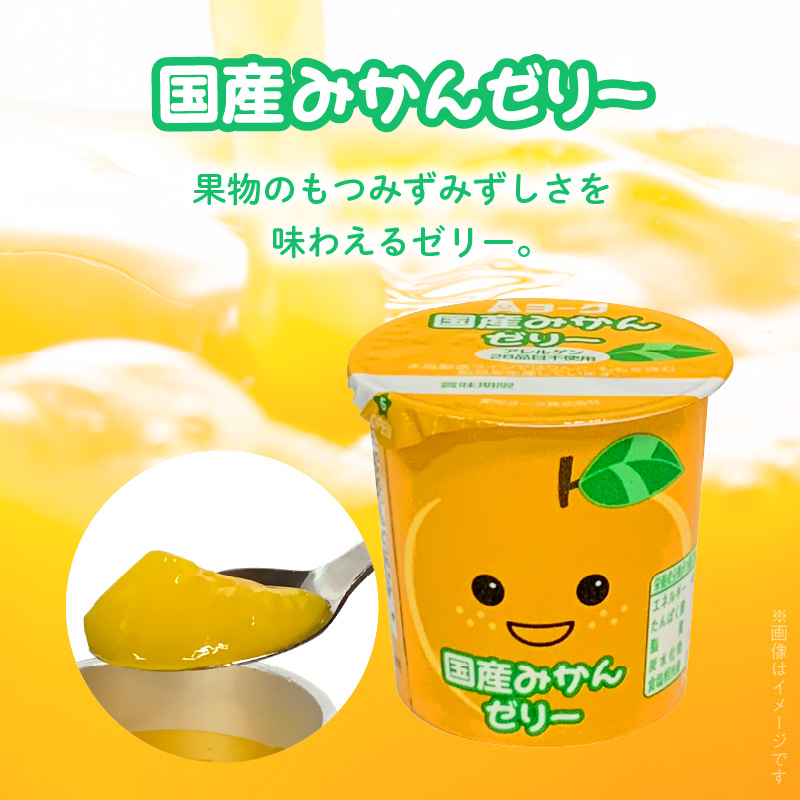【6ヶ月定期便】愛知ヨーク　国産みかんゼリー・国産ももゼリー　20個入