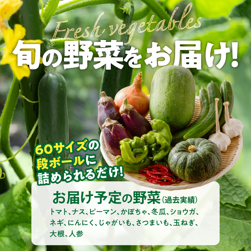 ネオコスモ農園で採れた小牧の野菜詰め合わせ