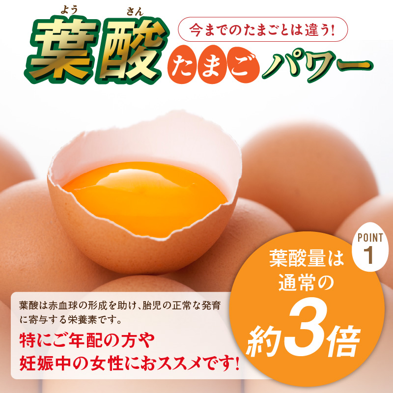 【3ヶ月定期便】【山ちゃん家の生みたて葉酸たまご】名古屋コーチン卵（30個入り）