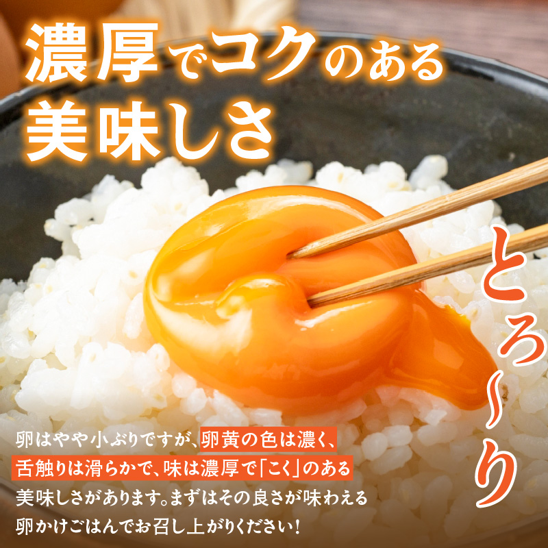 【3ヶ月定期便】【山ちゃん家の生みたて葉酸たまご】名古屋コーチン卵・赤玉元気卵 食べ比べセット（各15個 合計30個入り） 3ヶ月定期便 山ちゃん家 生みたて 葉酸たまご 名古屋コーチン卵 赤玉元気卵 食べ比べ セット 各 15個 合計 30個 入り 地鶏 卵 朝食 卵焼き 目玉焼き オムライス ゆでたまご 山田養鶏 お取り寄せ 愛知県 小牧市 送料無料