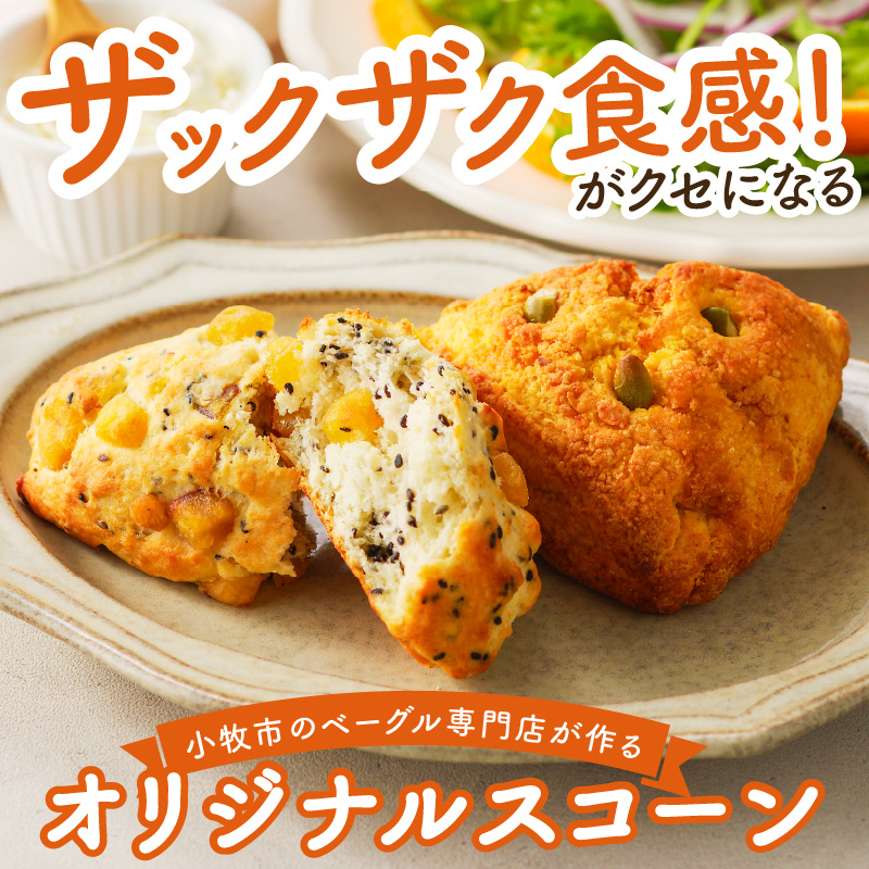 【ザクザクスコーン】ベーグル専門店pan de pan 888のおまかせスコーンセット（10個入り）